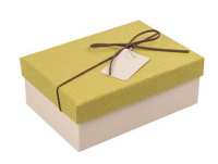 TPC017  Order business shirt case  design shirt case   shirt box garment factory